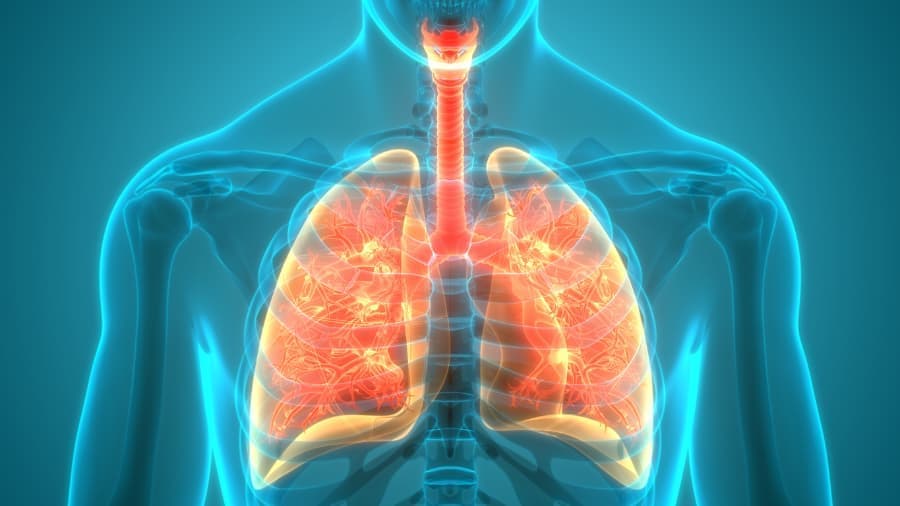 Respiratory Disease Management